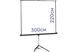 Экран д/проектора 300х220см