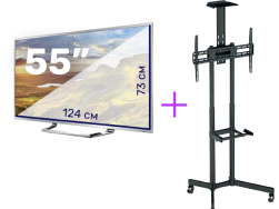 Плазма 55” (124x73см) + cтойка