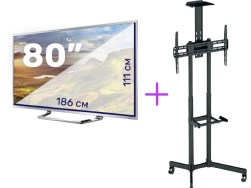 Плазма 80” (186x111см) + cтойка