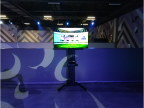 Плазма на стойке для трансляции спортивных матчей